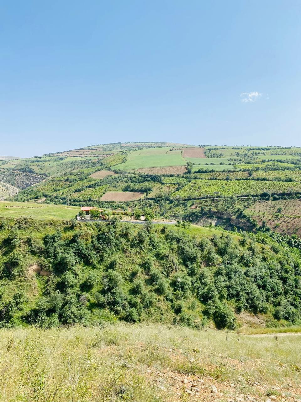 روستای استاد تیمورتاش